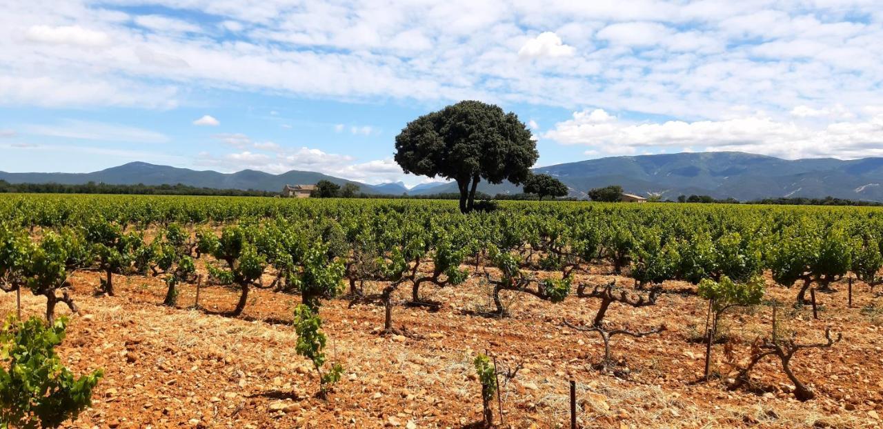 Вилла L'Instant Provence Вальреас Экстерьер фото