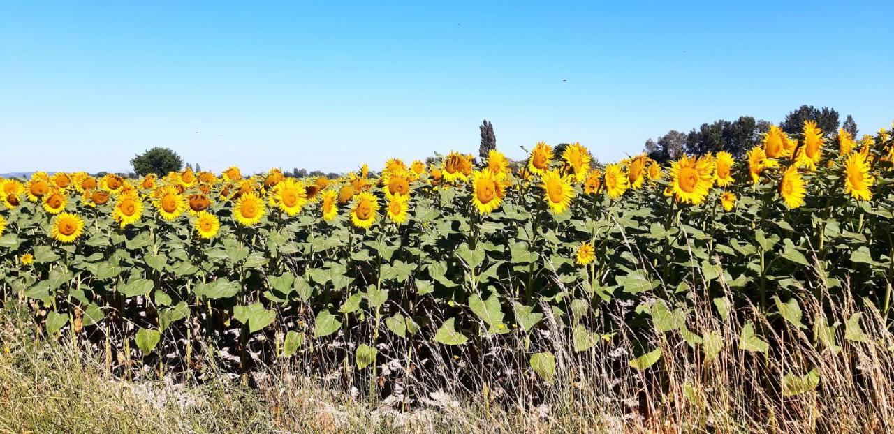 Вилла L'Instant Provence Вальреас Экстерьер фото